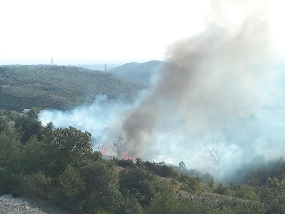 İki hektar makilik alan yangında zarar gördü