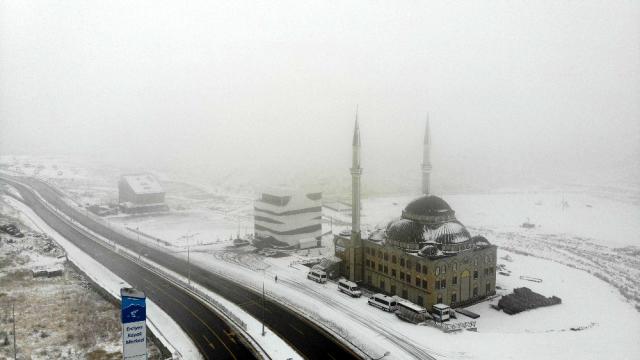 Cıngı; Bu sene yurt dışından tarihi bir rekor kıracağız