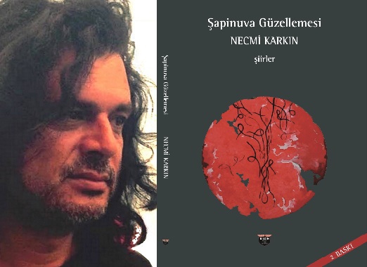 NECMİ KARKIN'IN "ŞAPİNUVA GÜZELLEMESİ"ADLI ŞİİR KİTABI ÇIKTI