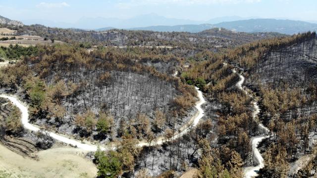 Yangınlara 620 personel 202 araçla müdahale edildi