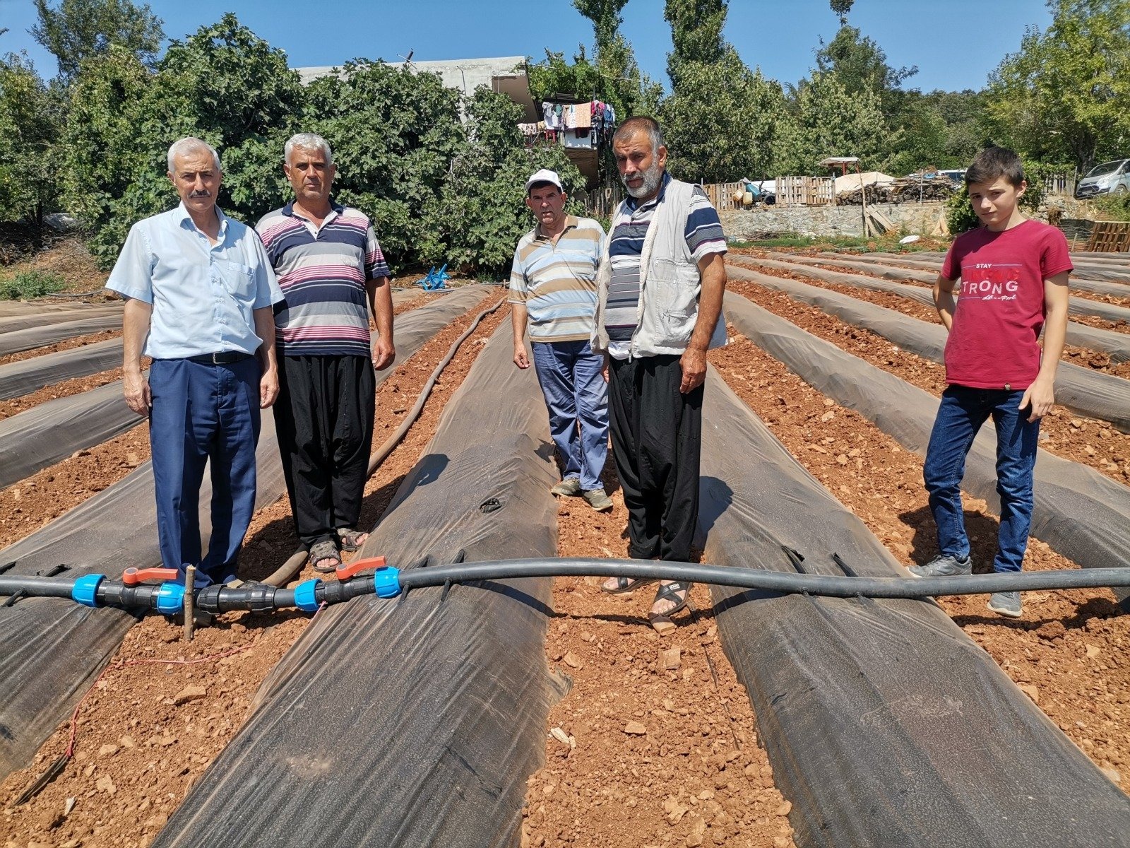 Müftüoğlu, çilek bahçelerinde incelemelerde bulundu