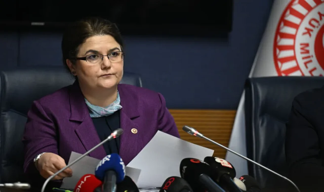 Derya Yanık: İnsan Hakları İhlallerine Karşı Çalışmalarımız Sürecek