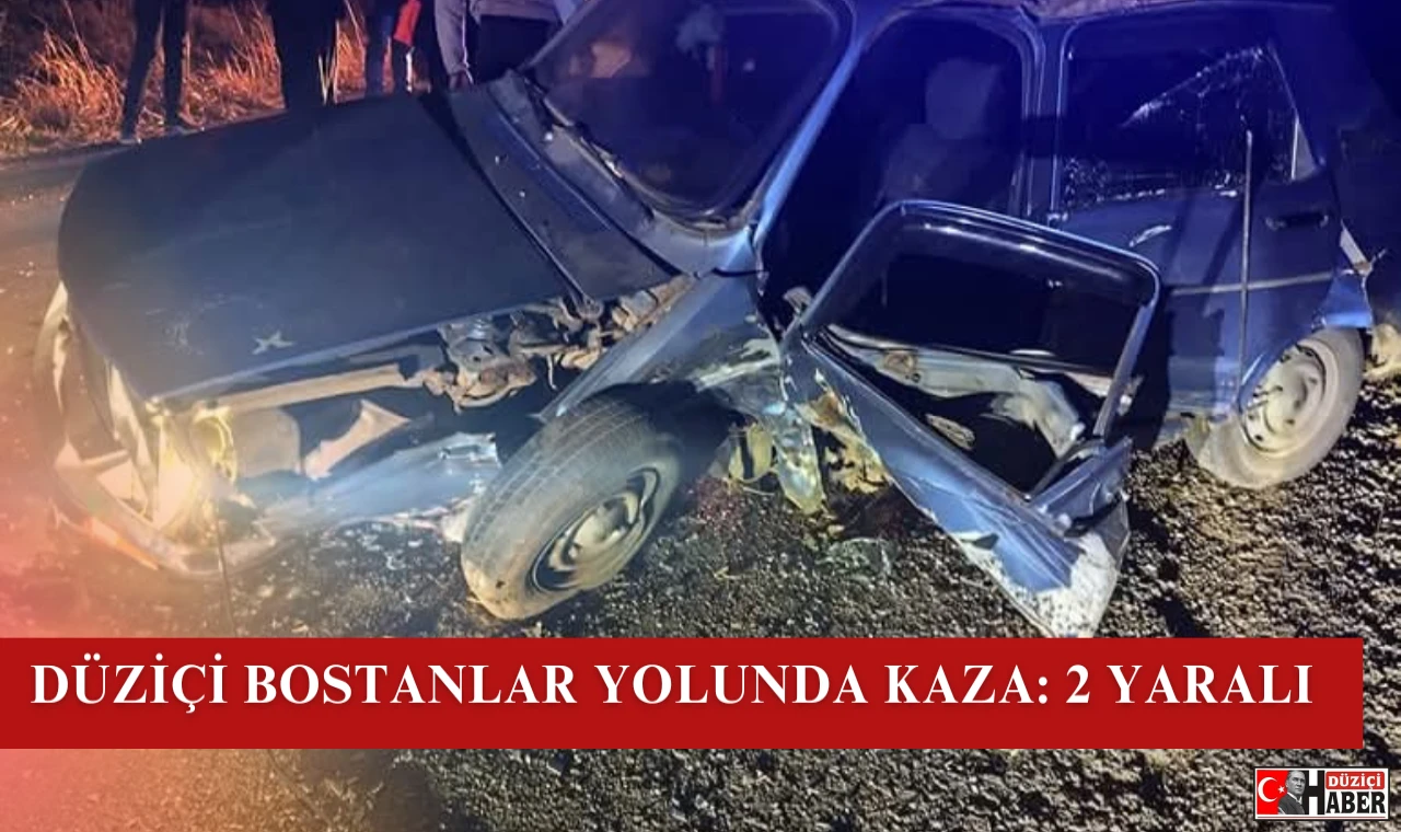 Düziçi Bostanlar Yolunda Trafik Kazası: 2 Yaralı