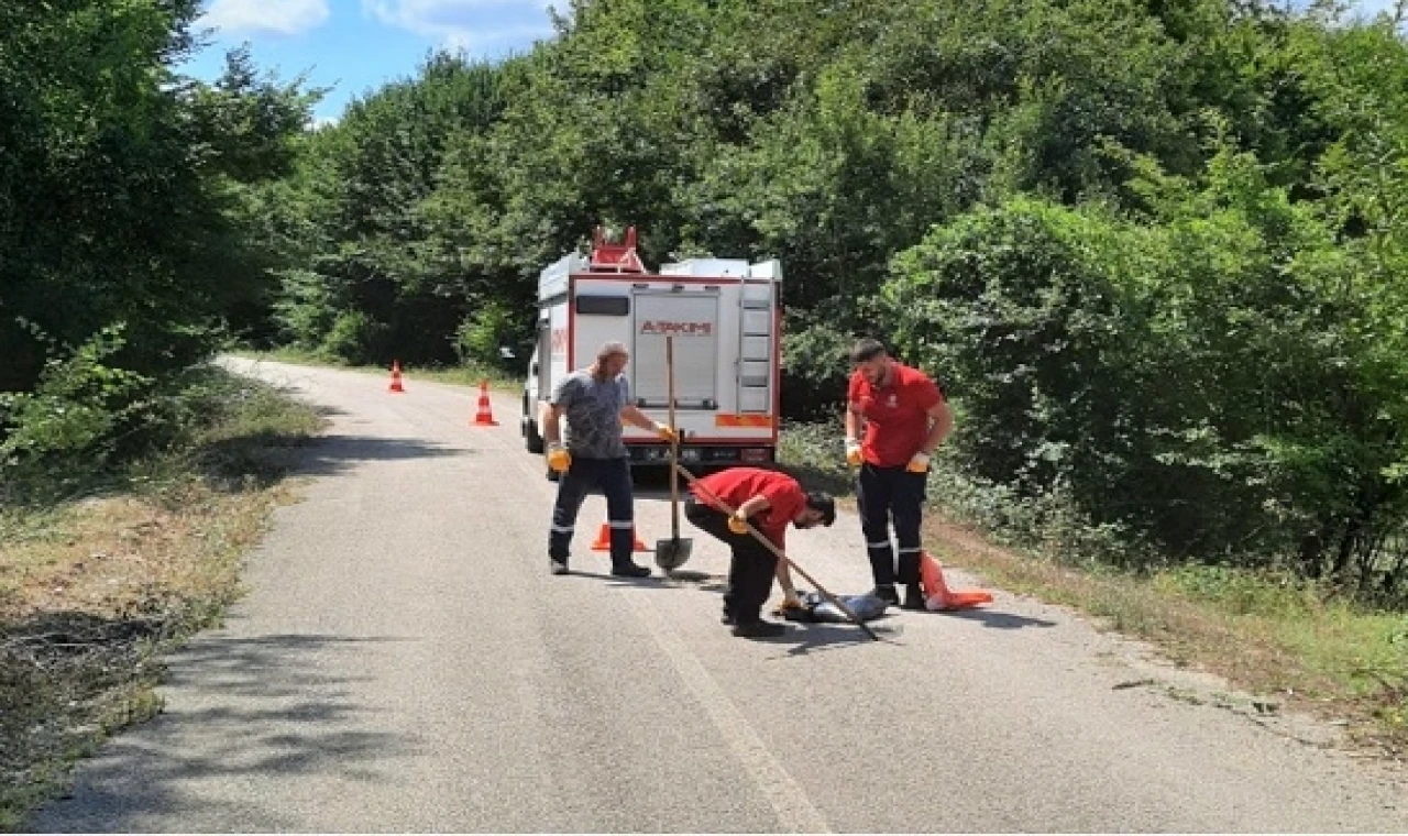 Kocaeli’nin A Takımı, yıl boyunca ”Hızır” gibi yetişti