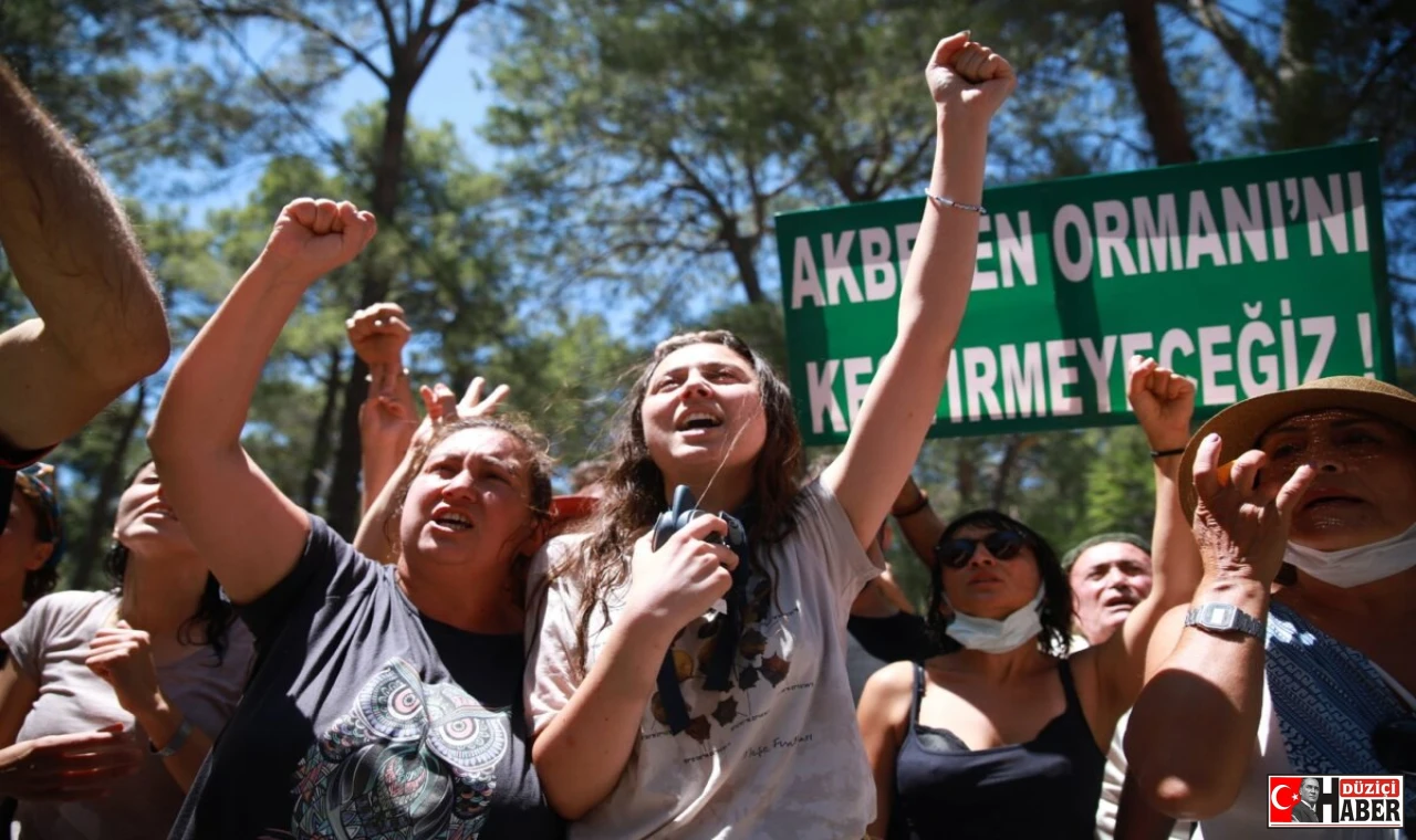 Akbelen Ormanı’nda Maden Tehdidi